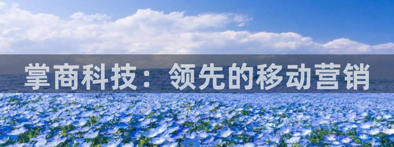 金年会体育平台新地址