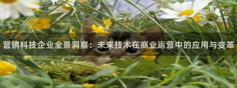 金年会网址