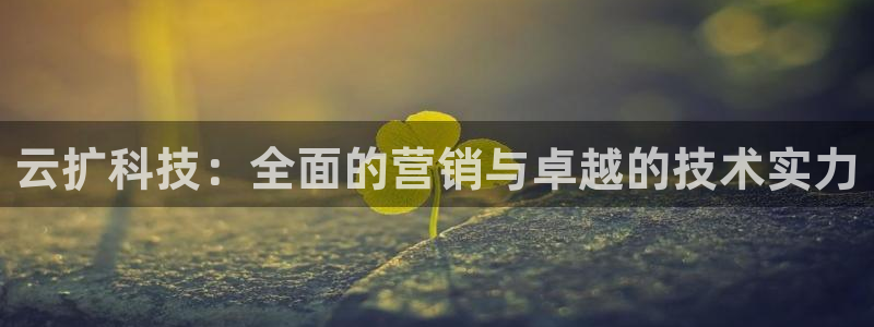 金年会黑平台不给出款