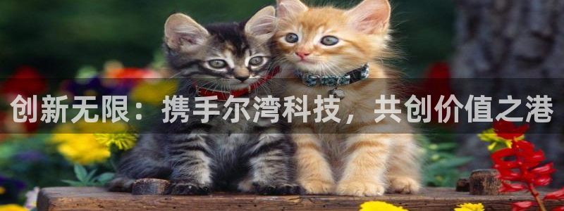 金年会体育平台官网下载