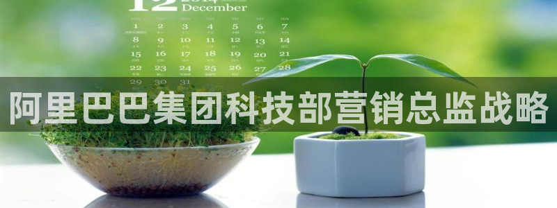 金年会体育网页版