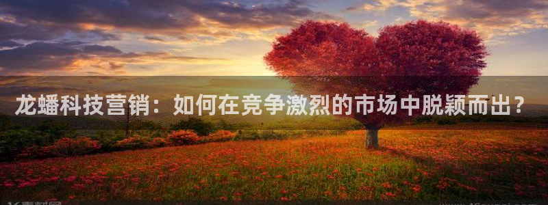 金年会金字照片诚信至上