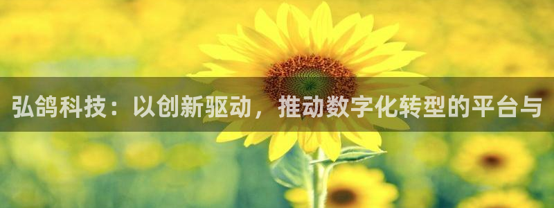金年会体育官方入口