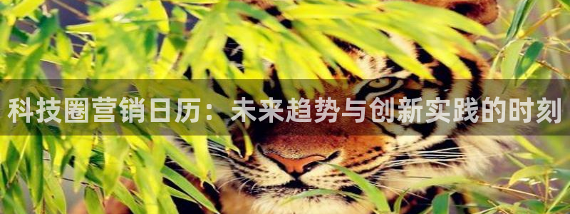 金年会体育官方app下载
