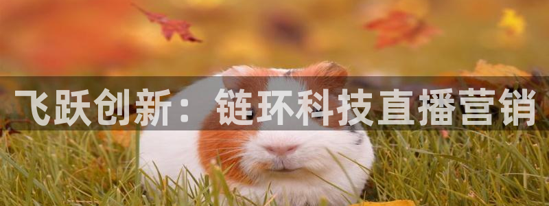 金年会pg电子官网