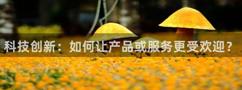 金年会
