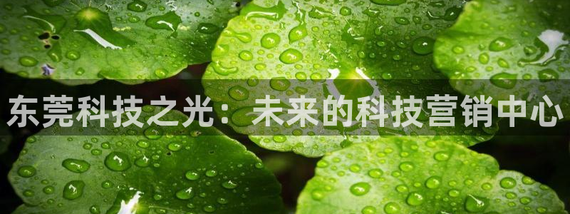 金年会电子游戏app