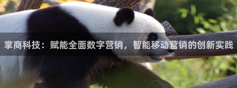 金年会体育app下载官网苹果手机