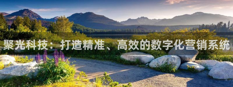金年会体育出款审核七天