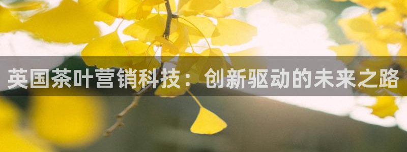 金年会手机版官方下载