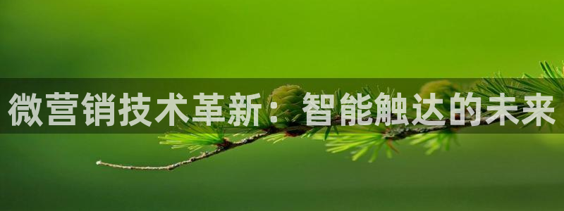 金年会jinnian体育下载app