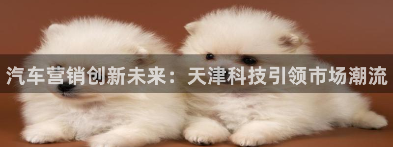 金年会体育查处：汽车