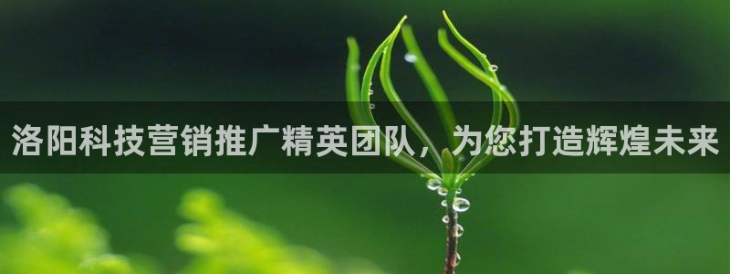 今年会金年会