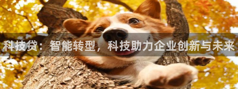 金年会官方体育