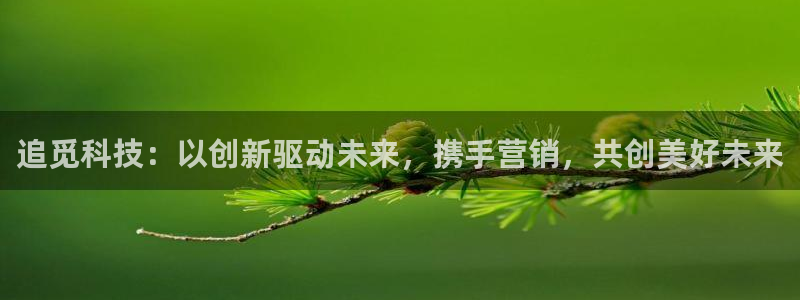 金年会电子官网下载