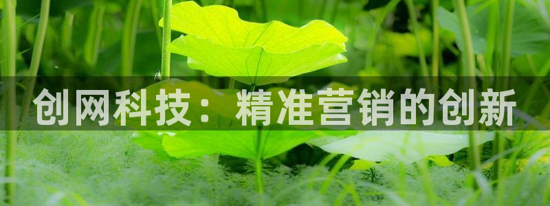 金年会体育合法吗