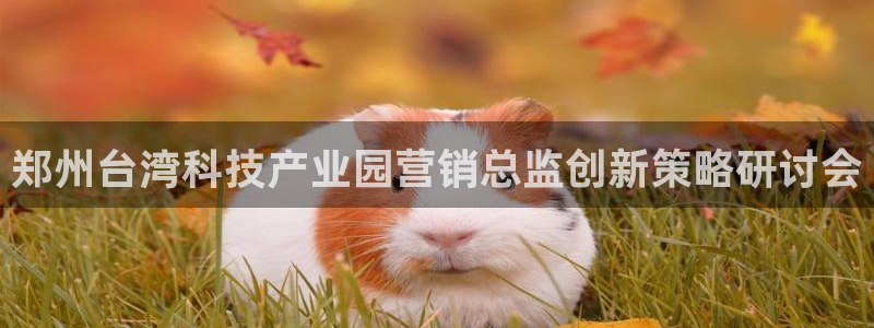 金年会 金字招牌诚信至上下载