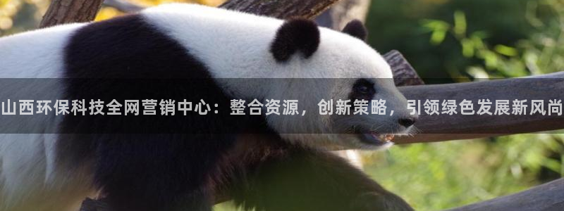 金年会mg官方在线电子游戏