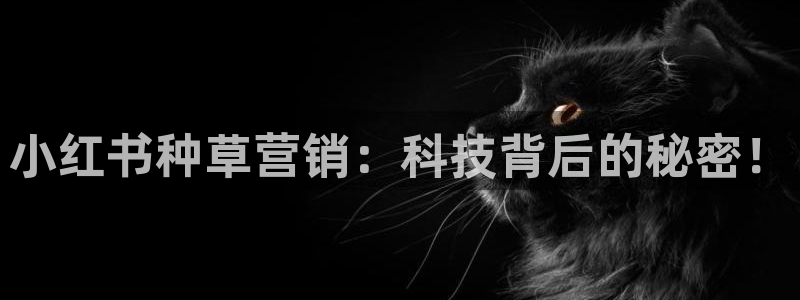 金年会app平台有人玩过吗安全吗