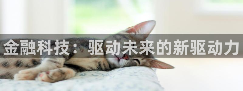 金年会网页版在线登录官网