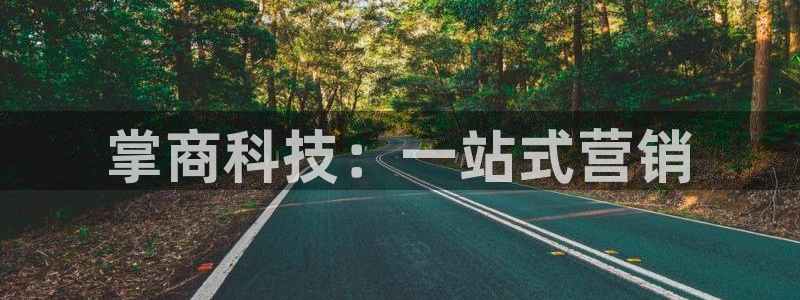 今年会金年会