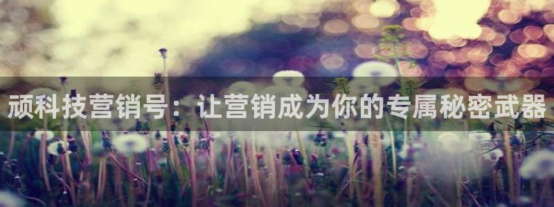 金年会com