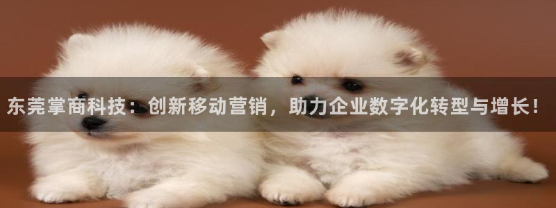 金年会官方入口首页网站下载