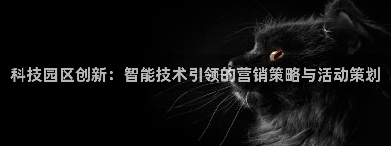 金年会是正规平台吗