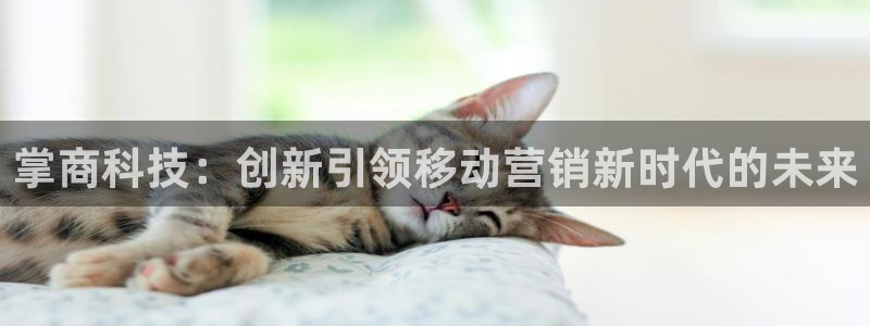 金年会金字招牌至上技术有限公司