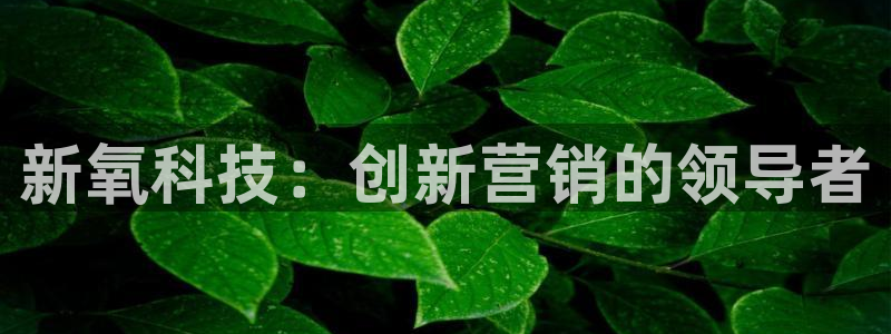 金年会app下载官网登录入口