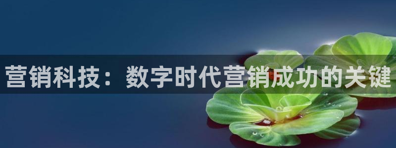 金年会金字招牌信誉至上365