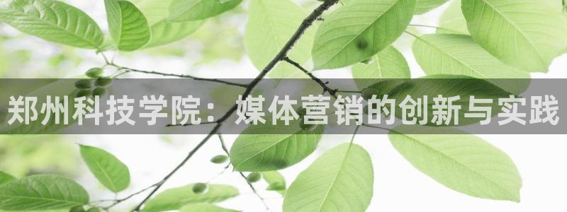 金年会体育官网登录入口网址