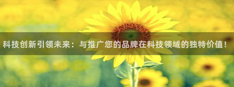 金年会体育平台合法吗