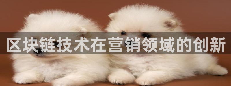 金年会体育app官网86