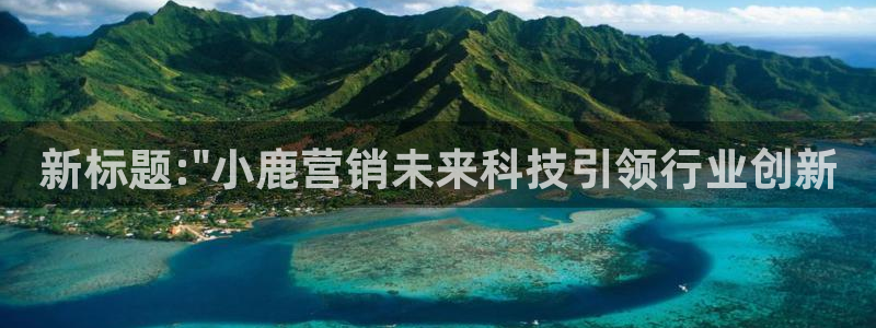 金年会体育查处