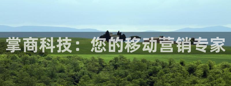 金年会金字招牌是什么意思