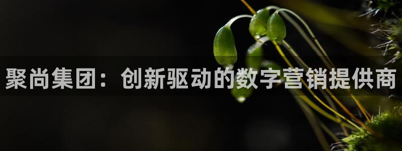 金年会金字招牌登录入口评测