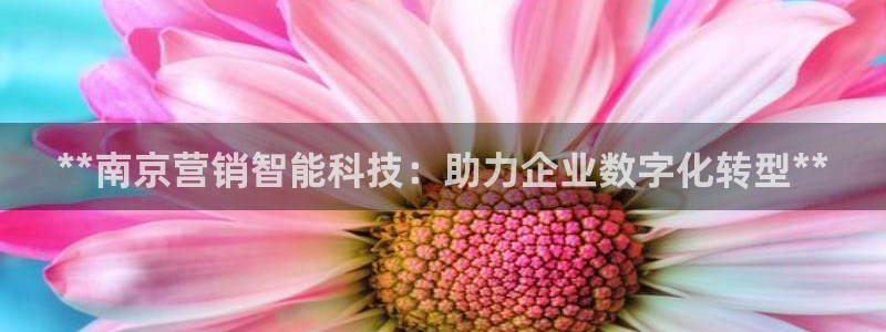 金年会体育app下载官网安卓手机