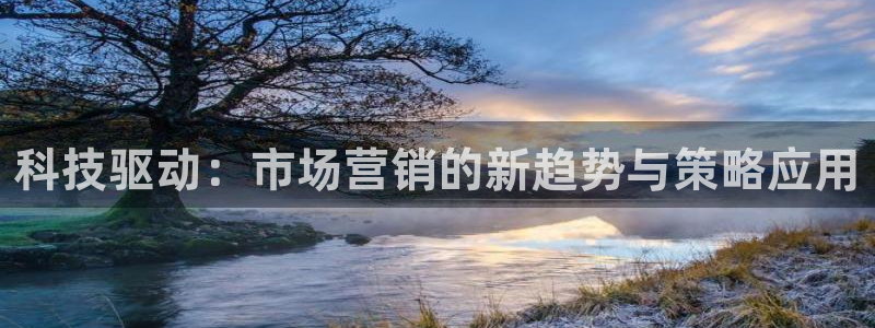 金年会网站被拒绝出款怎么处理?